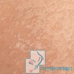 জেনে নিন ছুলির খুঁটিনাটি