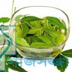 নিমের ৬ টি প্যাকে চুলের সমস্যা সমাধান করুন