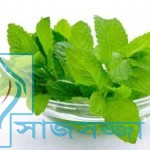 জেনে নিন পুদিনা পাতার রস কিভাবে ব্রণের দাগ দূর করে?