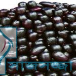 ” হেলথ টিপস” জামের উপকারিতা