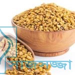 চুলের যত্নে মেথি