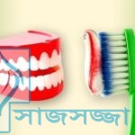 ”হেলথ টিপস” ব্রাশ ব্যবহার করার নিয়ম
